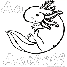 Axolotl Coloring Pages Pdf Printable Coloringfolder Com