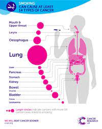 Sara hiom, director of early diagnosis at cancer research uk, said: Stop Smoking For Lung Cancer Awareness Month One You Merton