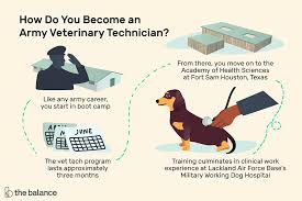 Working relationships works closely with veterinary technicians, veterinary assistants, and other staff Career Profile U S Army Veterinary Technician