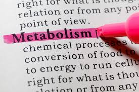 Check spelling or type a new query. Diabetes And Metabolism Affect Of Diabetes On Metabolism