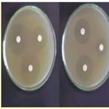 We did not find results for: Mueller Hinton Agar Global Sources