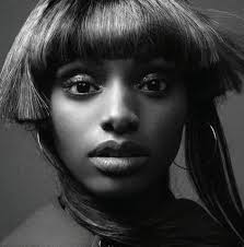 Career Styler 2023 by SNG Publishing