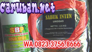Maybe you would like to learn more about one of these? Pakan Nogo Sosro Sabuk Inten Home Facebook