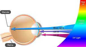 Macular Degeneration And Blue Light A Very Serious Problem Especially For Aging Eyes Macular Degeneration Serious Problem Visible Light