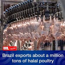 According to religious resources regarding halal and haram meat, there are general rulings and numerous standards; Brazil Exports About A Million Tons Of Halal Poultry Shia World S News