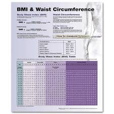 bmi waist circumference chart 20 x 26