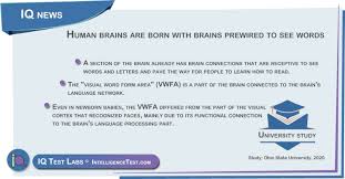 How many words do you know? Human Brains Are Born With Brains Prewired To See Words Iq Test Labs News