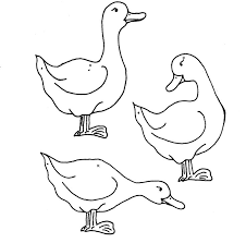 coloriage canard 8 coloring pages animal embroidery patterns de l&#x00027;amiral falter