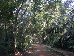 Check spelling or type a new query. Kuala Selangor Nature Park Wikipedia
