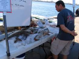 #2,104 of 3,941 restaurants in san diego. An Octopus Sea Lion And Fish Burrito Cool San Diego Sights