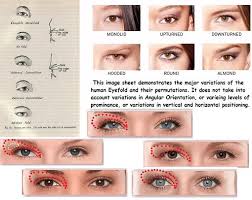 Usually bilateral, they may involve either or both the upper and lower eyelids. Opposite Of Epicanthic Fold Not Occidental English Language Usage Stack Exchange