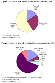 wealth accounts for resource depletion ...