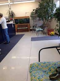 Maybe you would like to learn more about one of these? Avenues Pet Clinic 22 Reviews Veterinarians 5520 Yellowstone Rd Cheyenne Wy Phone Number