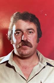 Contributions to the tribute of Pat Lovett