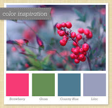 True purple hex #6a0dad rgb 106, 13, 173 cmyk 39, 92, 0, 32. Red Green Blue Purple Color Palette 30 Sarah Hearts