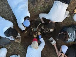 Forensic anthropology, application of physical anthropology to legal cases, usually with a focus on the human skeleton. Forensic Anthropology Ocme