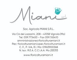 Contatta kasanova parma parma, piazza arturo balestrieri 2 con ⌚ orari, indicazioni stradali, email e dati di contatto. Miani Confetteria Cioccolateria Bomboniere Home Facebook