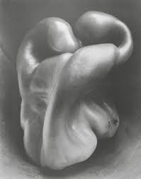 30 (1930), evinces weston's ability to transform landscapes, portraits, and still lifes into visual enigmas. The Edward Weston Nude That Took Photography To New Heights Another