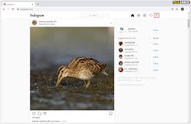 Instagram extension firefox / cookie disabled or private mode in chrome or firefox extension background request stack overflow. How To Delete Saved Posts On Instagram