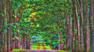 Picsart Editing Tutorial How To Make Simple Background Change To Cb Edit Background Youtube Forest on fire painting, nature, landscape, digital art, mountains. picsart editing tutorial how to make