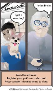 Register your pet's microchip (any brand) in the world wide microchip database. New Entrants To Pet Microchip Market Draw Critics News Vin