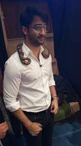 Erica fernandes, shaheer sheikh | instagram. Shaheer Sheikh Instagram Followers