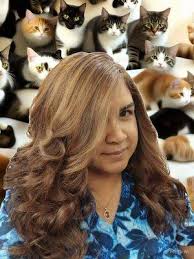 Phan, Sandra OD, 8407 Roosevelt Ave, Jackson Heights, NY 11372, US