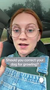 Kim Paciotti Empowered Pups