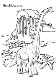 Maybe you would like to learn more about one of these? Brachiosaurus Dinosaur Coloring Pages For Kids Printable Free Coloring And Drawing