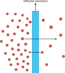 Water molecules move in to. Jaypeedigital Ebook Reader