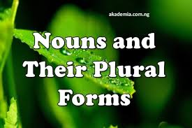 Cacti can be plural and who thinks there are cactus in germany to be the original word? Nouns And Their Plural Forms Akademia