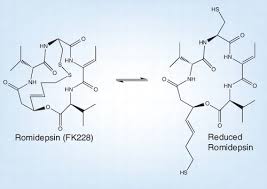 Image result for Romidepsin