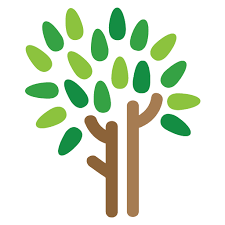 Our mission is to keep our home town looking amazing by providing home owners with the highest quality tree service we can. Warren Tree Services Home Facebook