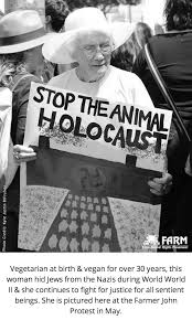 Image result for holocaust photos