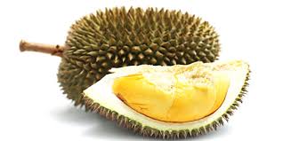Jika tertarik untuk menanamnya sendiri, caranya tidak sulit, kok! Budidaya Durian Montong Durian Monthong Durian Unggul Asal Thailand