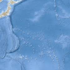 Image result for Athroisma gracile