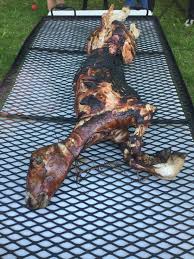 Best caterer in melbourne since 1991. Adventures In Spit Roasting Pass The Flamingo Ancient Food History And Recipes