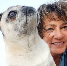 Contribution for St. Ignace News Ad