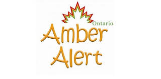 Amber alert for shaina pilon last in contact with family in june, reported missing in august from winnipeg. Toronto Woman Launches Petition To Fine People Who Call 911 To Complain About Amber Alerts Durham Radio News