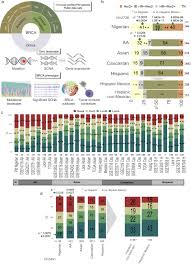 Additionally, the benefits of early detection methods for breast cancer can be maximized among women experiencing the highest risk for breast cancer, regardless of whether the risk factors are modifiable. Comprehensive Omic Characterization Of Breast Cancer In Mexican Hispanic Women Nature Communications