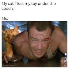 My Cat lost his toy . . . . . . . . #jenniferlopez #alexandradaddario  #AngelinaJolie #MeganFox #margotrobbie #chrisevans #ChristianBale  #AnneHathway #BrieLarson #ScarlettJohansson #elizabetholsen #JenniferLopez  #JenniferAniston #JenniferLawrence ...