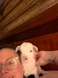 Tracy Jackson (@tj_lg__esthetics_) · Valdosta, GA