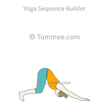 Downward Facing Dog Pose Variation Knees Bent Yoga Adho Mukha Svanasana Variation Knees Bent Yoga Sequences Benefits Variations And Sanskrit Pronunciati Ashtanga Vinyasa Yoga Yoga Sequences Chakra Yoga