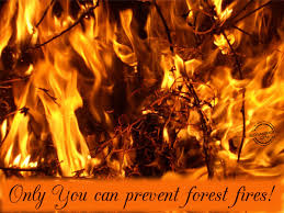 Safety slogan signs used as safety reminders. Fire Safety Slogans