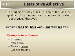 What Is An Adjective Examples Of Adjective Relation Of Adjective With Noun Types Of Adjectives With Examples Overview Ppt Download