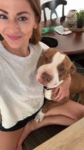 Django is pretty much the cutest boy you'll ever meet, but right now, his  heart is breaking in the shelter💔 Kennel life is so hard