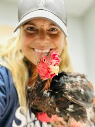 Cadbury Update: I took Cadbury to Medical center For Birds today. And I  have some really good news… he doesn't have to go back!! Dr Baden was able  to debride the last