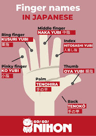 Finger Names In Japanese In 2020 Japanese Phrases Learn Japanese Words Japanese Language Learning