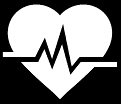 Pet doctor inc, located in lakewood, washington, is at bridgeport way southwest 11419. Services Pet Hospital In Lakewood Wa The Pet Doctor