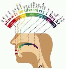 Phonetic Map Of The Mouth Mapporn